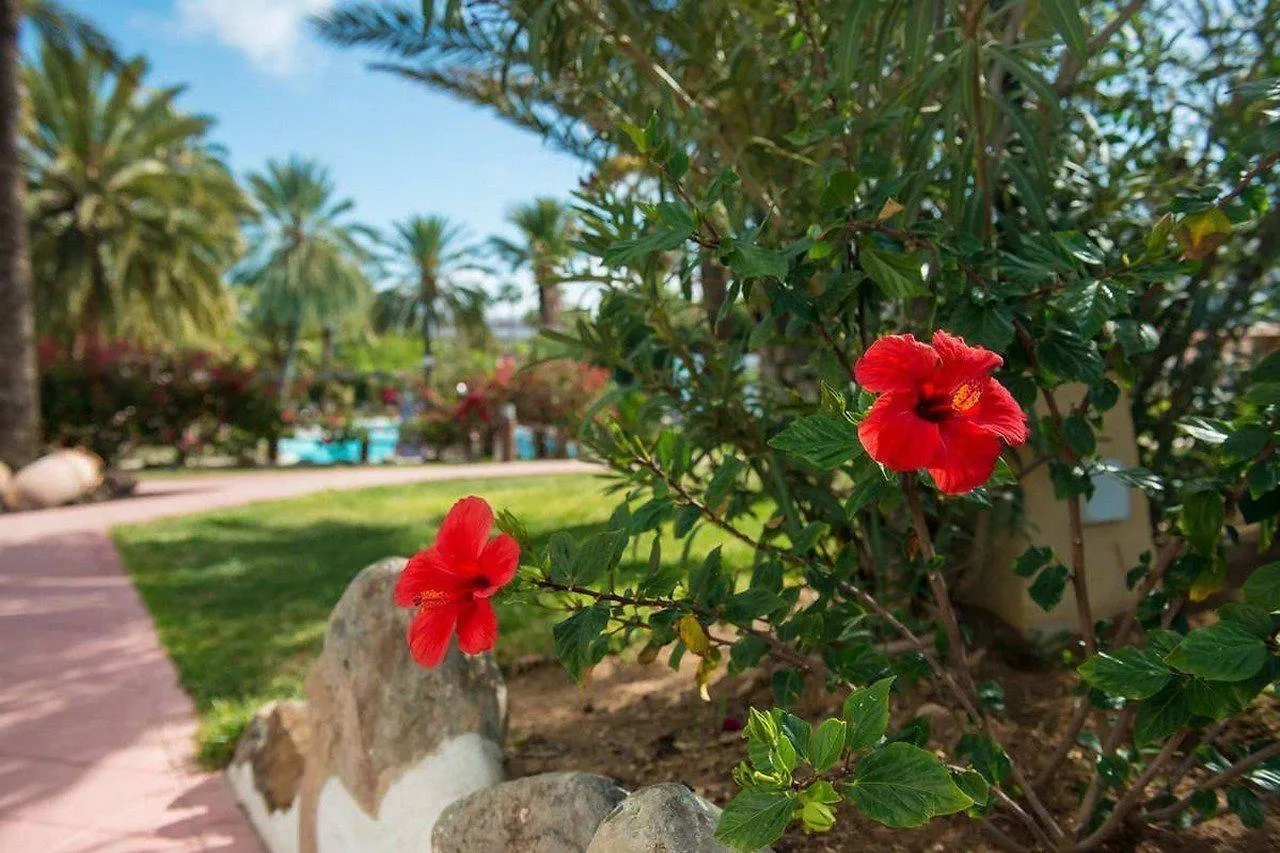 Miraflor Suites Hotel Playa del Ingles